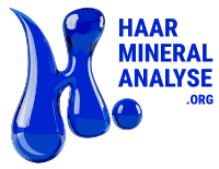 Haarmineralanalyse Logo